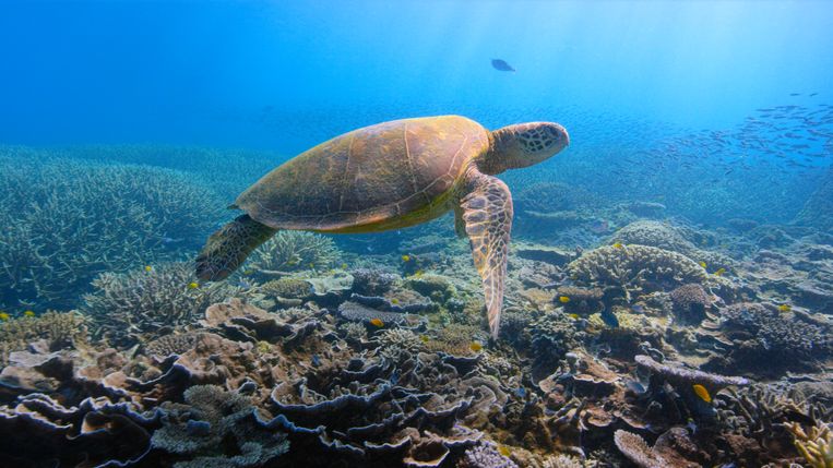 5x kijktips over het klimaat en de maatschappij