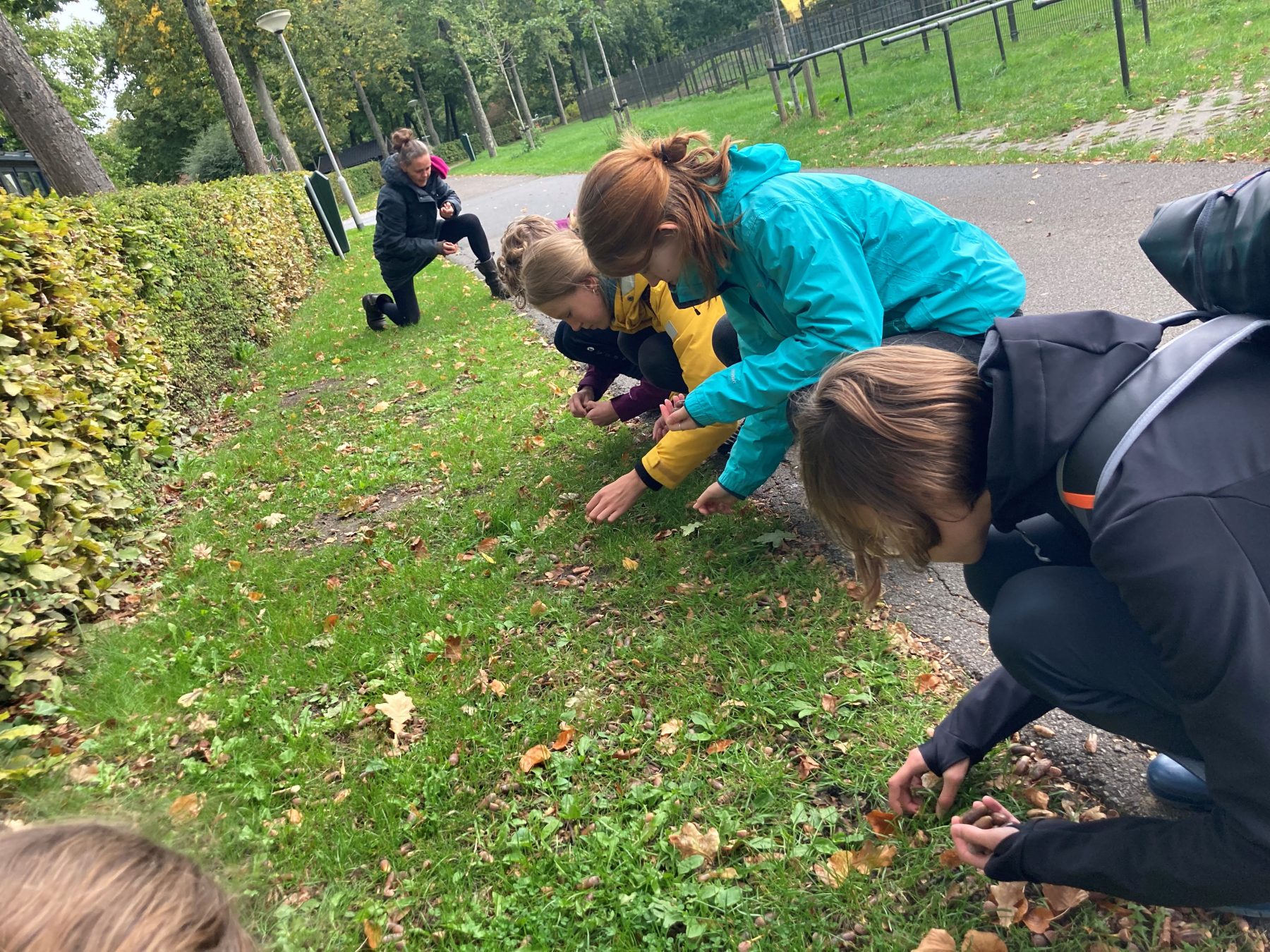 Wilgenkabouters en rozenelfjes #GK2022
